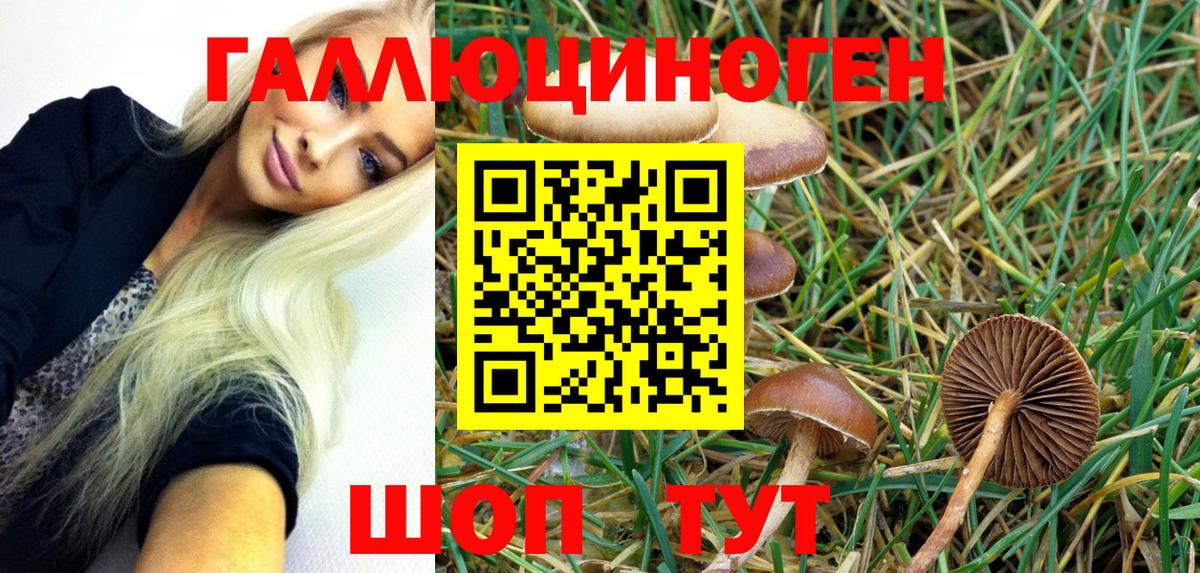 Псилоцибиновые грибы GOLDEN TEACHER  где купить   Жуковский  Вход с VPN 